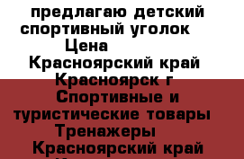 предлагаю детский спортивный уголок   › Цена ­ 3 000 - Красноярский край, Красноярск г. Спортивные и туристические товары » Тренажеры   . Красноярский край,Красноярск г.